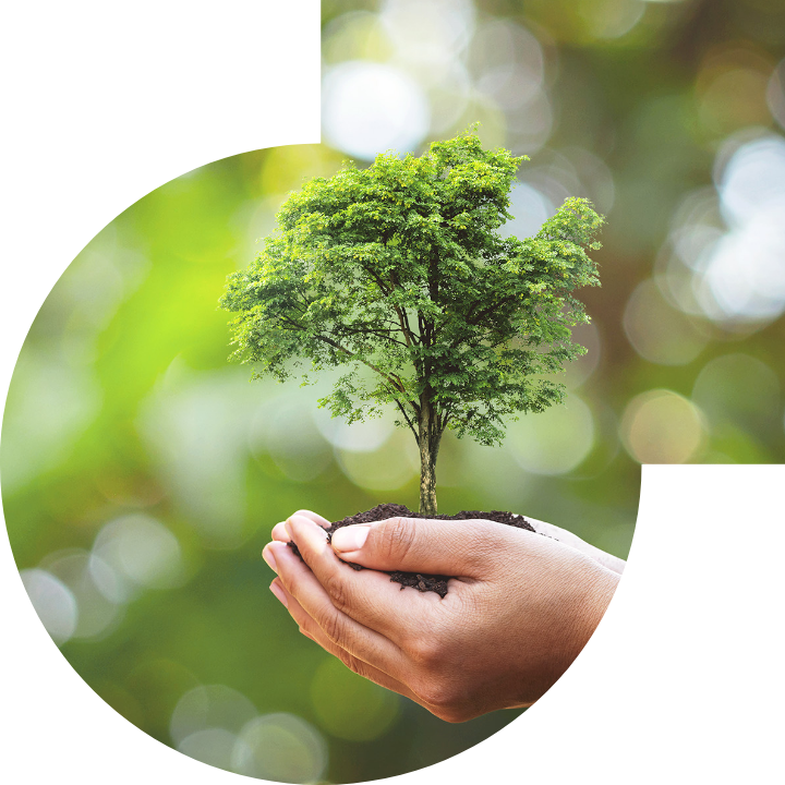 关怀人类、文化、环境与社会